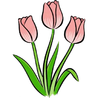 Video sticker 🌷 Tulips @PunjabiSticker