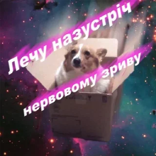 Telegram sticker 🅰️ Козацька ватага