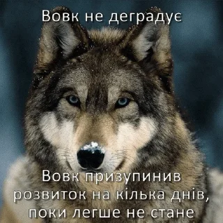 Telegram sticker 💅 Козацька ватага
