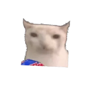 Video sticker 😺 ZenStickers