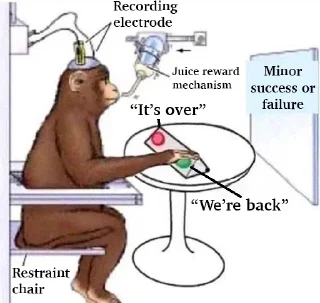 Telegram sticker 🐵 ZenStickers