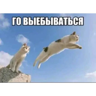 Telegram sticker 😎 Больше стиков тут: @stikery4