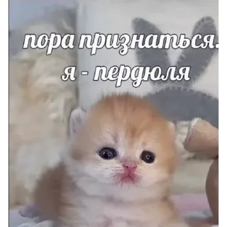 Telegram sticker 💨 Больше стиков тут: @stikery4