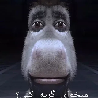 Telegram sticker 💀 Randombullshit 1