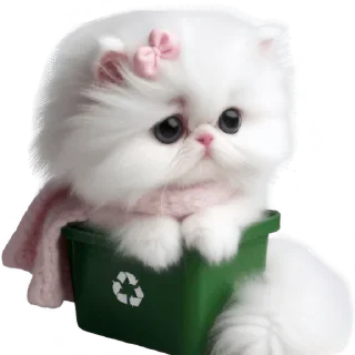 Telegram stiker ♻ Сладкая киса @Nyasticks