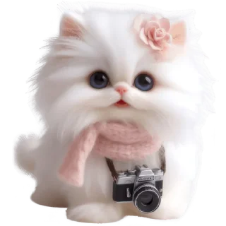 Telegram stiker 📷 Сладкая киса @Nyasticks