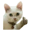 Video sticker 👍 Рандом ➜ @...