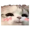 Video sticker ☺️ Рандом ➜ @...