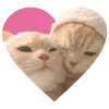 Sticker 💗 Рандом ➜ @emojiprem @TgEmodziBot