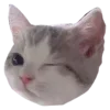Sticker 😉 Рандом ➜ @emojiprem @TgEmodziBot