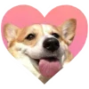 Video sticker 💖 Рандом ➜ @...