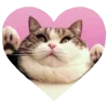 Sticker 💗 Рандом ➜ @...