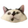 Sticker 🙂 Рандом ➜ @emojiprem @TgEmodziBot