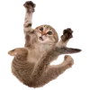 Sticker 🫨 Рандом ➜ @emojiprem @TgEmodziBot