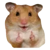 Video sticker 👍 Рандом ➜ @...