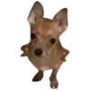 Sticker 💁‍♀️ Рандом ➜ @emojiprem @TgEmodziBot