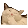 Video sticker 😅 Рандом ➜ @...