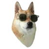 Sticker 😎 Рандом ➜ @emojiprem @TgEmodziBot