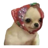 Sticker 👵 Рандом ➜ @emojiprem @TgEmodziBot