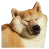 Sticker 😴 Рандом ➜ @emojiprem @TgEmodziBot
