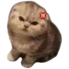 Sticker 😠 Рандом ➜ @emojiprem @TgEmodziBot
