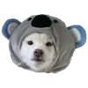 Sticker 🐨 Рандом ➜ @emojiprem @TgEmodziBot