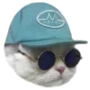 Sticker 😎 Рандом ➜ @emojiprem @TgEmodziBot