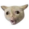 Sticker 😵‍💫 Рандом ➜ @emojiprem @TgEmodziBot