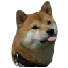 Sticker 😛 Рандом ➜ @emojiprem @TgEmodziBot