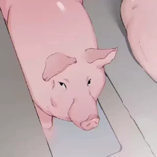 Video sticker 🐖 Больше стиков тут: @stikery4
