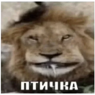 Telegram sticker ☺ Больше стиков тут: @stikery4