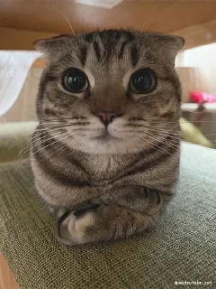 Telegram sticker 🙂 пора :: @fStikBot