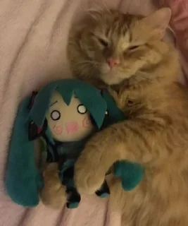 Video sticker 😴 пора :: @fStikBot