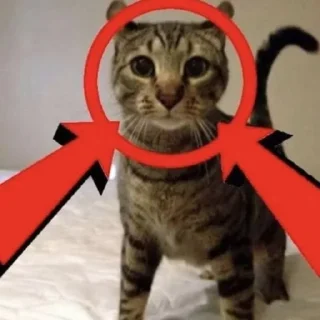 Telegram sticker ❗️ пора :: @fStikBot