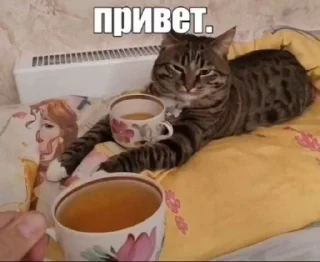 Video sticker 👋 пора :: @fStikBot