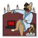 Video sticker 🎥 Arc