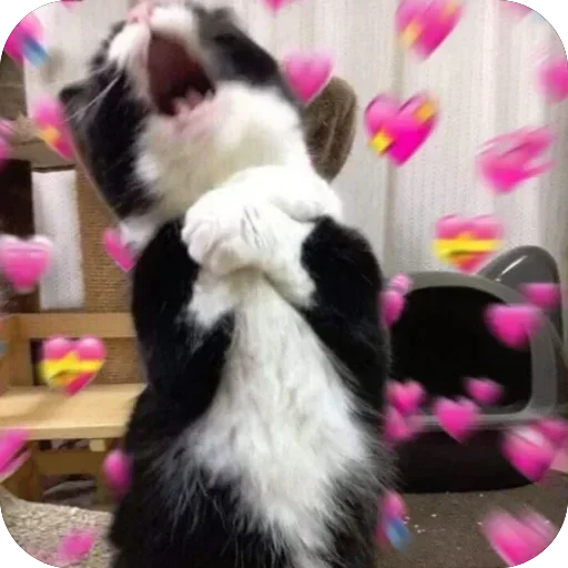 Telegram sticker ❤ 『 𝐓𝙱𝚂 』 ꭙꤪꤨꤪ 𝐘𝙾𝚁𝚁𝙸𝙲𝙷𝙸'sAnimPack