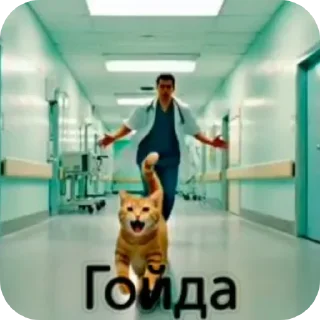 Video sticker 🐶 Tg: @notevm