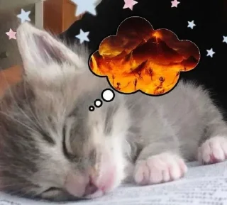 Telegram sticker 🗝 @somefuckingbullshit • @sticbot