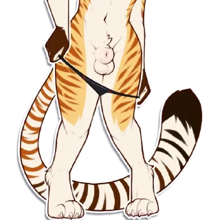 Video sticker 👙 Anklav's pack