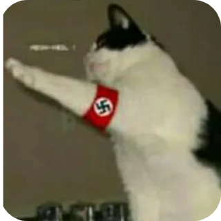 Video sticker 🖼 Hitler