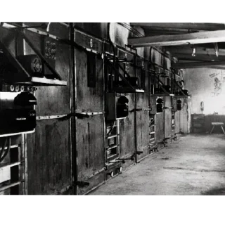 Video sticker 👍 Hitler