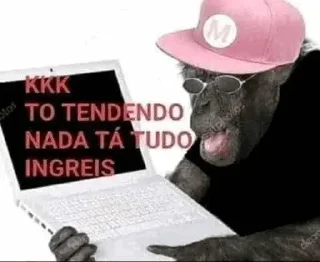 Telegram stiker 🙉 Meu pinto