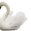 Video sticker 🦢 random by @jadores...