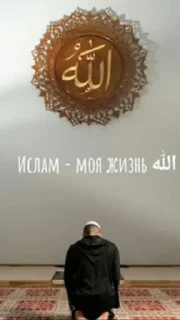 Telegram sticker 👳 Сам токой