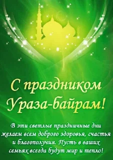 Video sticker 🕋 Сам токой