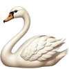 Sticker 🦢 notes by @arishaazi