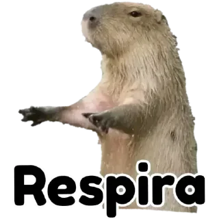 Telegram sticker 🌟 Credo Que Delícia