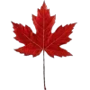 Video sticker 🍁 autumn ➜ @emoji1