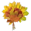 Video sticker 🍂 autumn ➜ @emoji1